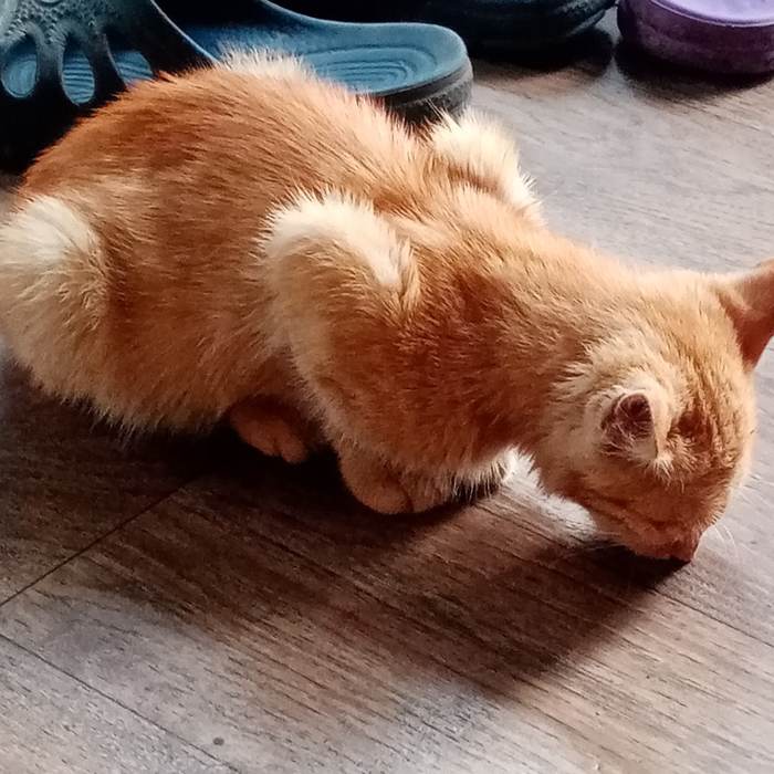 ������ �����...