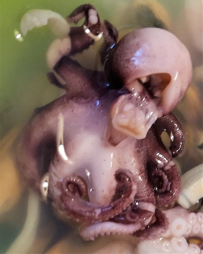 ������ ������