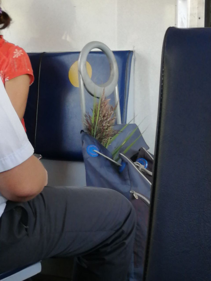 братья цыгановы уралмаш биография. 1627993521152148638. братья цыгановы уралмаш биография фото. братья цыгановы уралмаш биография-1627993521152148638. картинка братья цыгановы уралмаш биография. картинка 1627993521152148638. В конце 80-х годов правоохранительные органы Свердловска (после 1991 г. – Екатеринбург) зафиксировали деятельность неизвестной ранее преступной группы. "Генеалогия" ОПГ стала известна позже: ее костяк составили выходцы из Орджоникидзевского района, где был расположен завод "Уралмаш". Многих из них связывали учеба в школе, соседство или родственные узы, а объединяющей силой "уралмашевских" стали родные братья Григорий и Константин Цыгановы (их ОПГ впоследствии не раз сравнивали с сицилийскими мафиозными "семьями"). Появление новой криминальной структуры, быстро набирающей силу, вызвало резкую реакцию со стороны другой преступной группы. братья цыгановы уралмаш биография. 1627993521152148638. братья цыгановы уралмаш биография фото. братья цыгановы уралмаш биография-1627993521152148638. картинка братья цыгановы уралмаш биография. картинка 1627993521152148638. В конце 80-х годов правоохранительные органы Свердловска (после 1991 г. – Екатеринбург) зафиксировали деятельность неизвестной ранее преступной группы. "Генеалогия" ОПГ стала известна позже: ее костяк составили выходцы из Орджоникидзевского района, где был расположен завод "Уралмаш". Многих из них связывали учеба в школе, соседство или родственные узы, а объединяющей силой "уралмашевских" стали родные братья Григорий и Константин Цыгановы (их ОПГ впоследствии не раз сравнивали с сицилийскими мафиозными "семьями"). Появление новой криминальной структуры, быстро набирающей силу, вызвало резкую реакцию со стороны другой преступной группы.