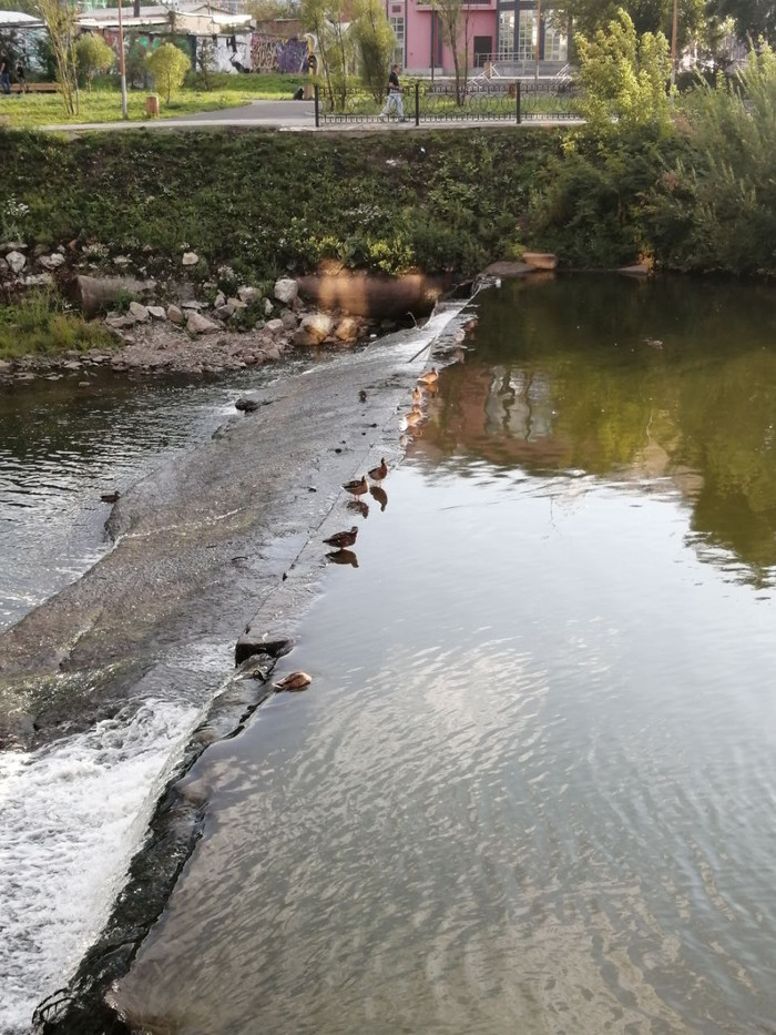 братья цыгановы уралмаш биография. 1627997393192259896. братья цыгановы уралмаш биография фото. братья цыгановы уралмаш биография-1627997393192259896. картинка братья цыгановы уралмаш биография. картинка 1627997393192259896. В конце 80-х годов правоохранительные органы Свердловска (после 1991 г. – Екатеринбург) зафиксировали деятельность неизвестной ранее преступной группы. "Генеалогия" ОПГ стала известна позже: ее костяк составили выходцы из Орджоникидзевского района, где был расположен завод "Уралмаш". Многих из них связывали учеба в школе, соседство или родственные узы, а объединяющей силой "уралмашевских" стали родные братья Григорий и Константин Цыгановы (их ОПГ впоследствии не раз сравнивали с сицилийскими мафиозными "семьями"). Появление новой криминальной структуры, быстро набирающей силу, вызвало резкую реакцию со стороны другой преступной группы. братья цыгановы уралмаш биография. 1627997393192259896. братья цыгановы уралмаш биография фото. братья цыгановы уралмаш биография-1627997393192259896. картинка братья цыгановы уралмаш биография. картинка 1627997393192259896. В конце 80-х годов правоохранительные органы Свердловска (после 1991 г. – Екатеринбург) зафиксировали деятельность неизвестной ранее преступной группы. "Генеалогия" ОПГ стала известна позже: ее костяк составили выходцы из Орджоникидзевского района, где был расположен завод "Уралмаш". Многих из них связывали учеба в школе, соседство или родственные узы, а объединяющей силой "уралмашевских" стали родные братья Григорий и Константин Цыгановы (их ОПГ впоследствии не раз сравнивали с сицилийскими мафиозными "семьями"). Появление новой криминальной структуры, быстро набирающей силу, вызвало резкую реакцию со стороны другой преступной группы.