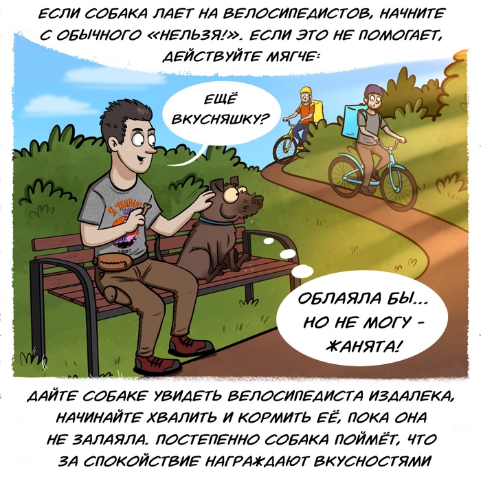 дрессировка собак учебное пособие. дрессировка собак учебное пособие фото. картинка дрессировка собак учебное пособие. смотреть фото дрессировка собак учебное пособие. смотреть картинку дрессировка собак учебное пособие.