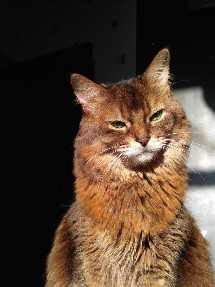 Моя рыжая любовь