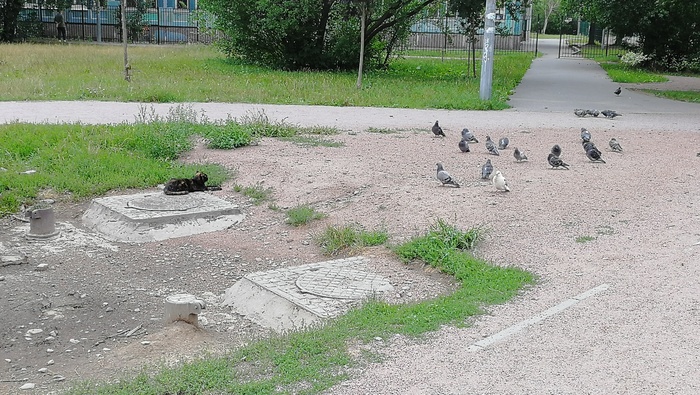 ������������ �������