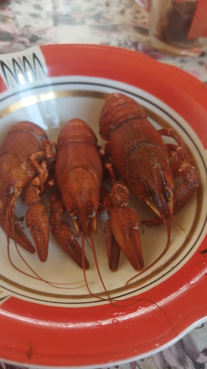 История про раков