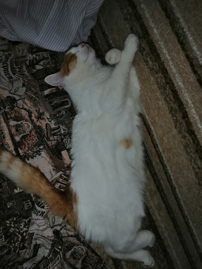 ���������� ����� �� ������� ����!