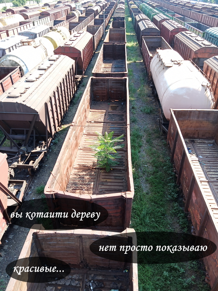 �� ����� "������ ���������"