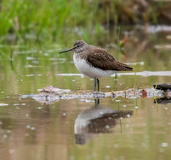 ���������? �����������!