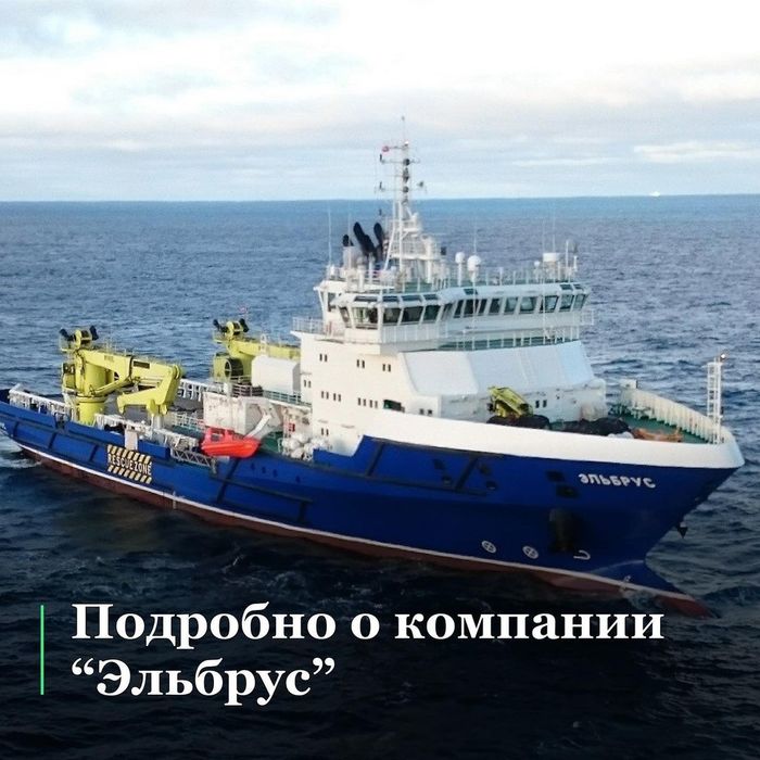 жительница новосибирска нашла послание о рабстве в упаковке помидоров. Смотреть фото жительница новосибирска нашла послание о рабстве в упаковке помидоров. Смотреть картинку жительница новосибирска нашла послание о рабстве в упаковке помидоров. Картинка про жительница новосибирска нашла послание о рабстве в упаковке помидоров. Фото жительница новосибирска нашла послание о рабстве в упаковке помидоров
