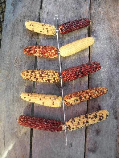 Что это за штука - 134 Reddit, WhatIsThisThing, Перевел сам, Видео, Длиннопост Что это за штука - 134 Reddit, WhatIsThisThing, Перевел сам, Видео, Длиннопост