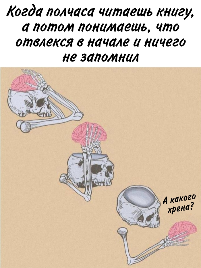 женщина профессор про мозг. Смотреть фото женщина профессор про мозг. Смотреть картинку женщина профессор про мозг. Картинка про женщина профессор про мозг. Фото женщина профессор про мозг