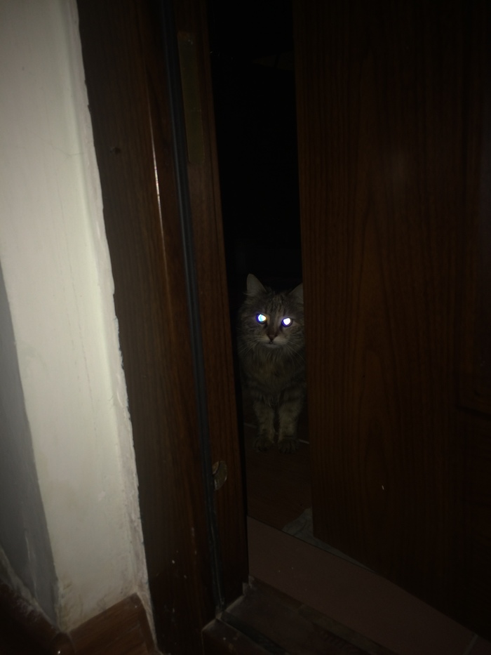 �� �� ������� �����