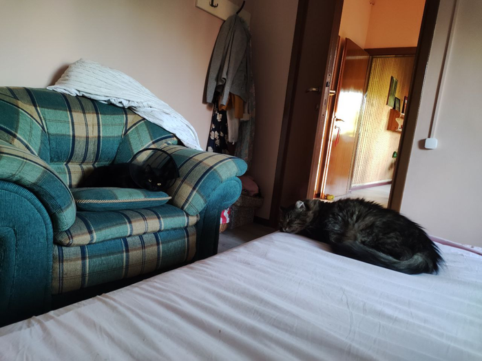 �������, �������, ������� ��� ���� �� ����������!