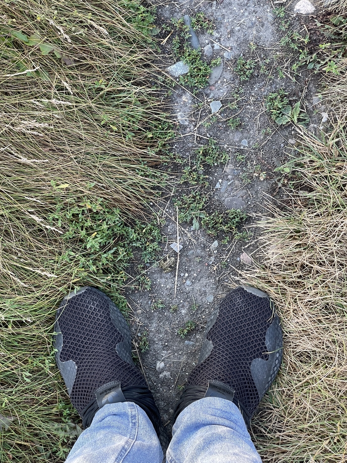 Иди своей дорогой сталкер