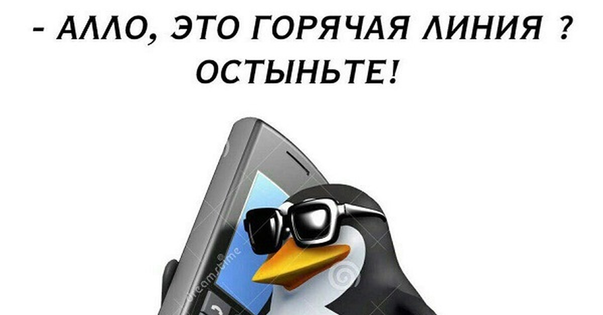 Мем ало. Алло это Мем с пингвином. Пингвин с телефоном. Пингвин с телефоном Алло. Пингвин в очках с телефоном.