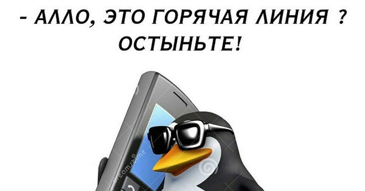 Алло теперь. Алло это Мем с пингвином. Пингвин с телефоном. Пингвин в очках с телефоном. Пингвин с телефоном Мем.