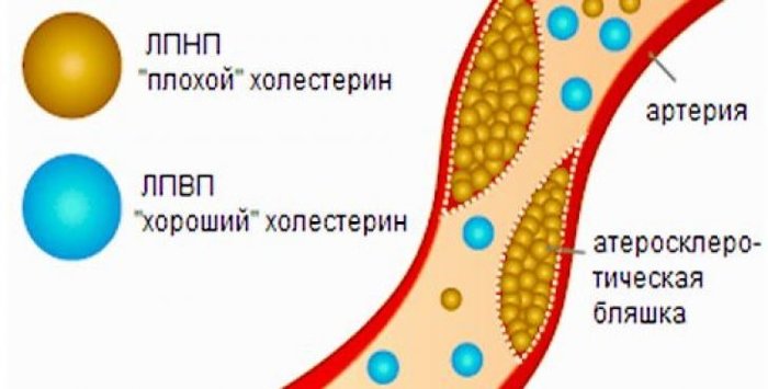 какое строение имеет стекло