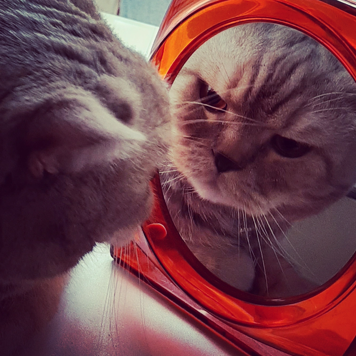 Кто это тут красивее меня