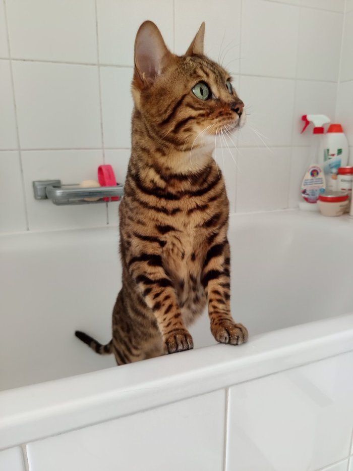 ����� ���� ��������!