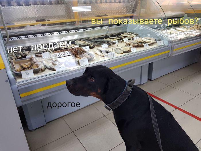 ��� �����