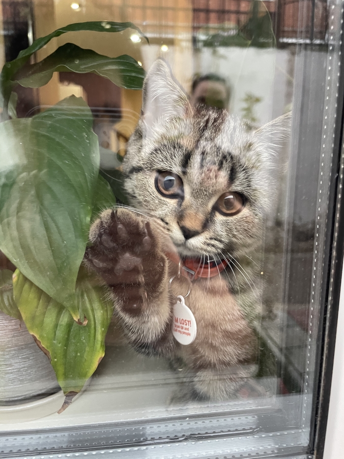 ��������