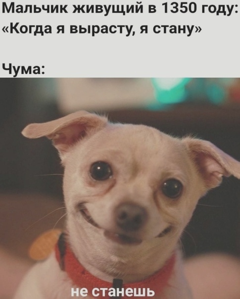    , , ,   