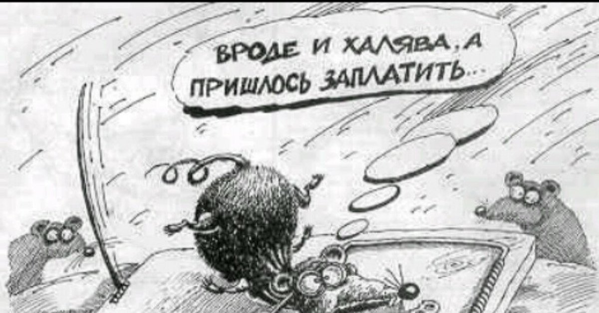 Бесплатный сыр только в мышеловке картинки