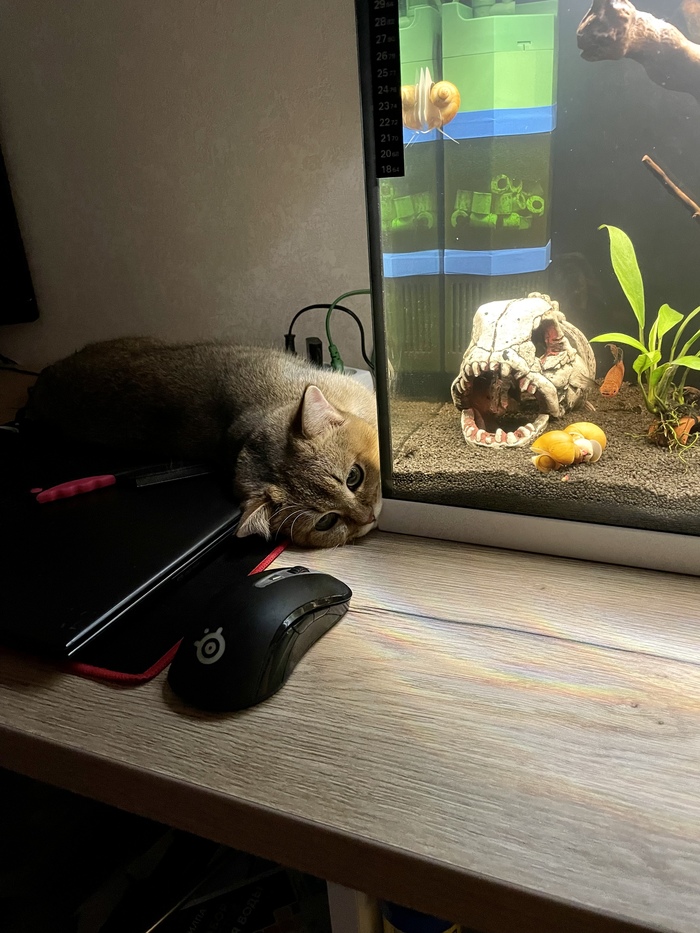 �������������