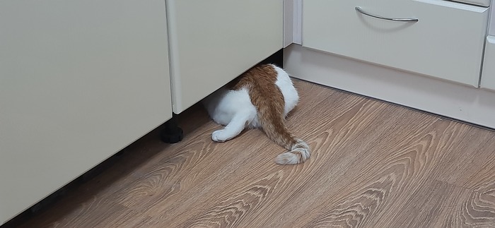   ! , , 
