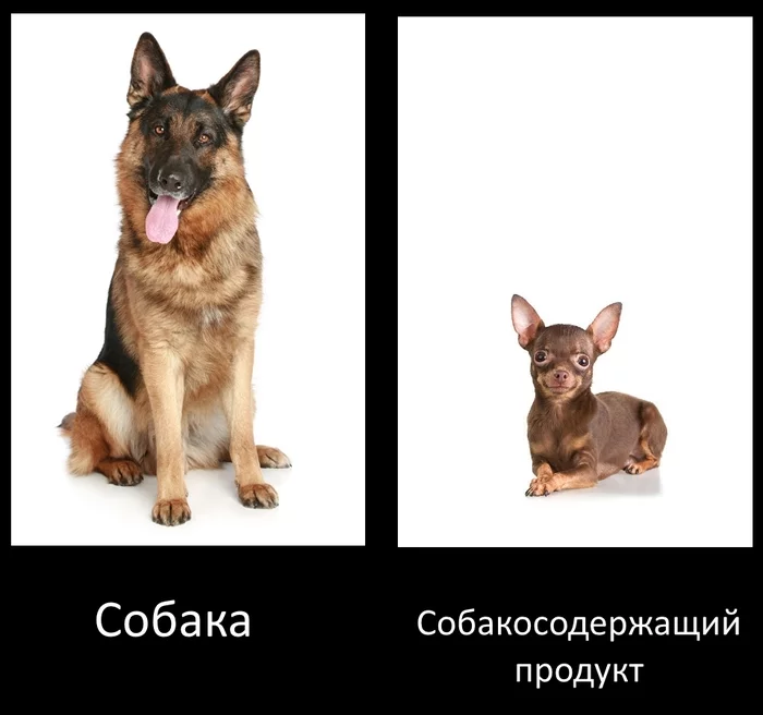162842764219145053.webp