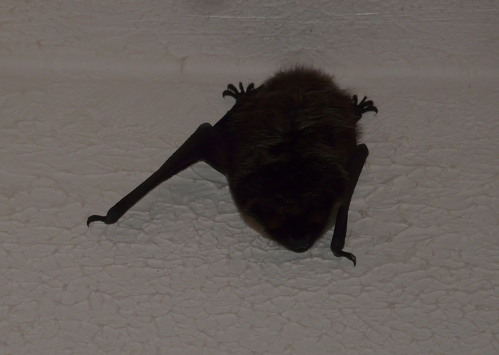 ��� �������� ��� ��������?