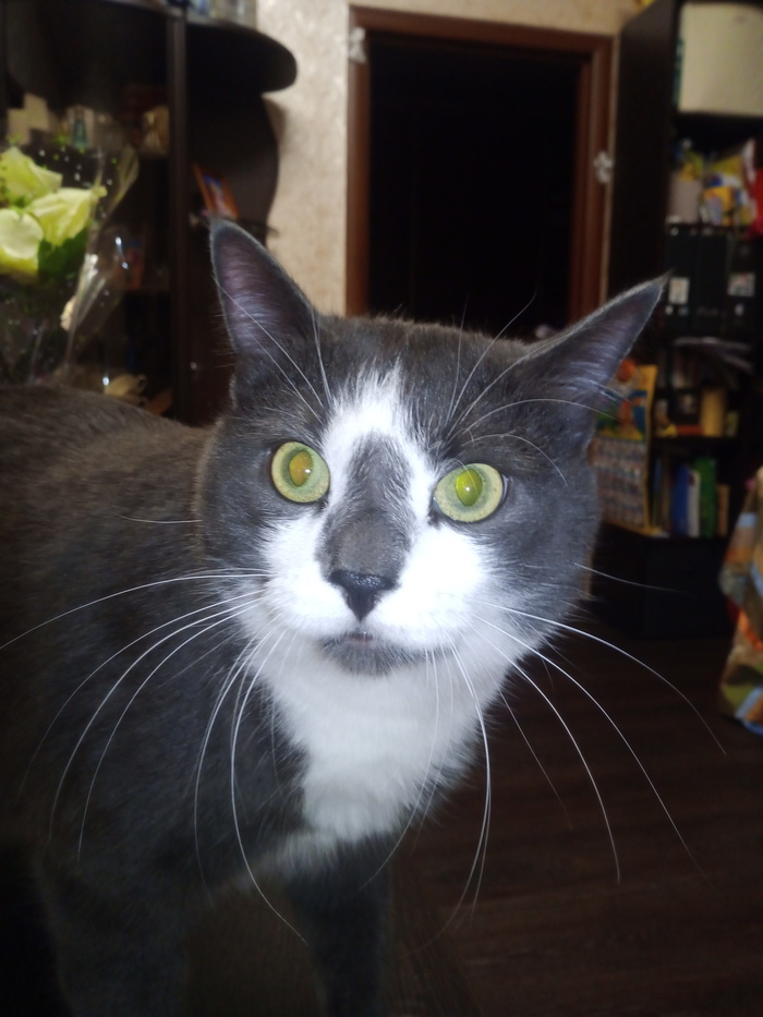 ���� ����? � ���� �����?