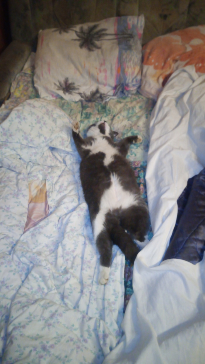 �������-�� ������ �� ������ ����