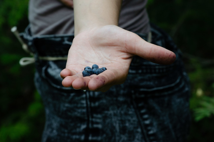 Лесное follow me