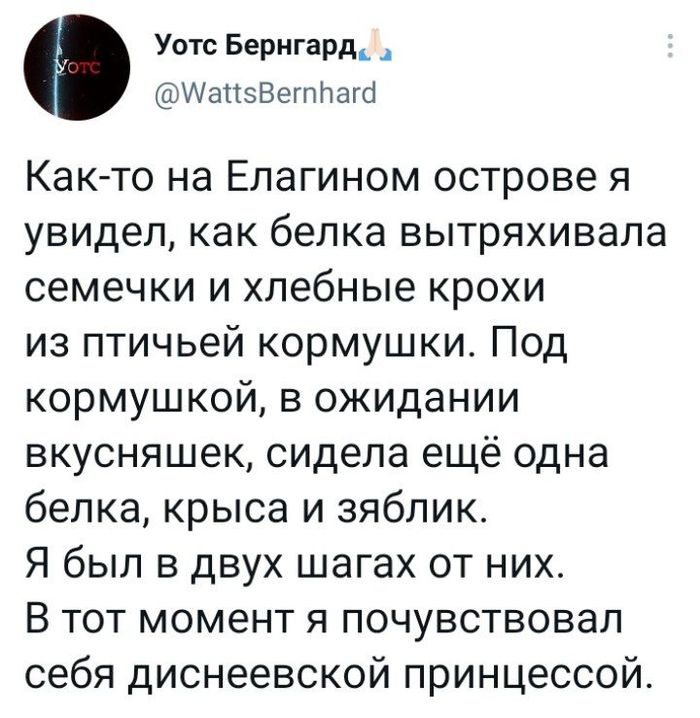 -   ... X (Twitter), -,  , , 