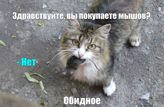      ,   , ,   ?