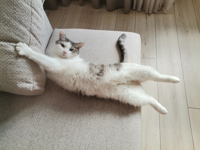  ,   ! , 