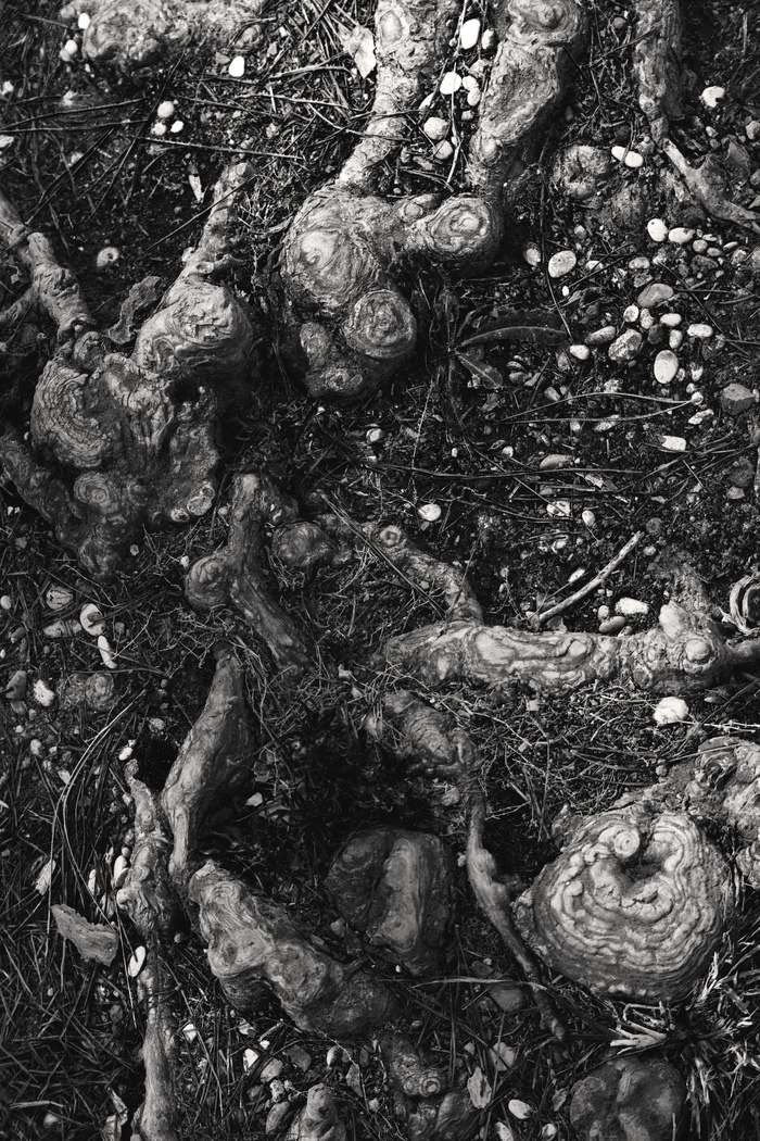 ������ ����� ������, ������� ��������� ����������