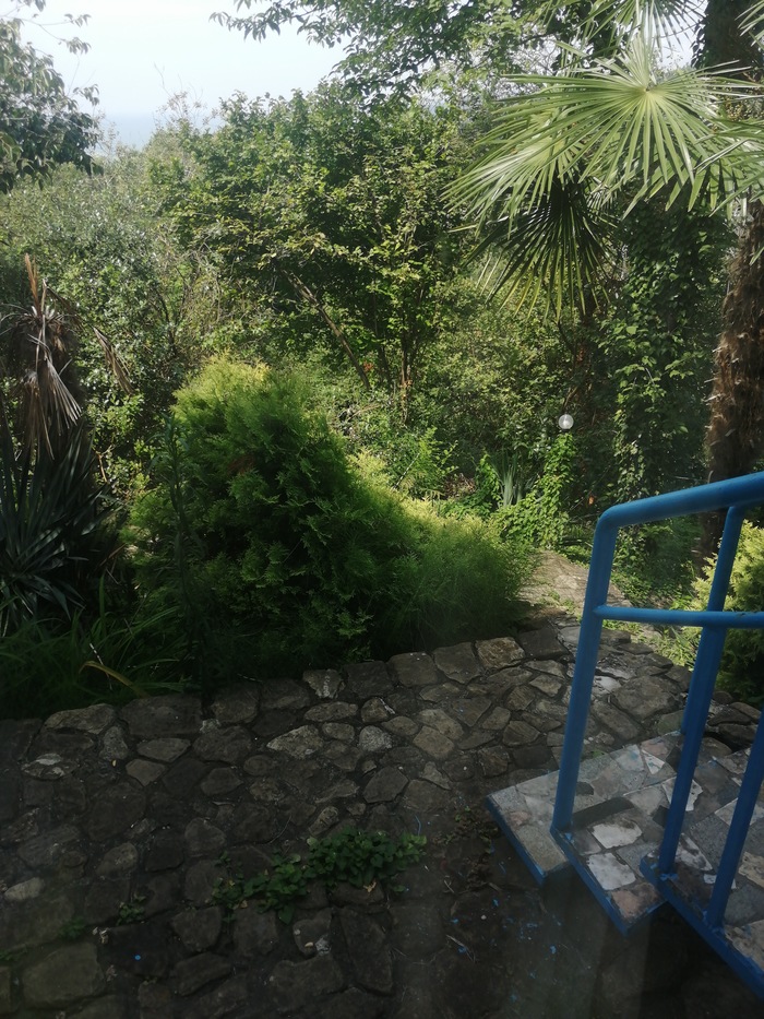 Как вернуть деньги с активированного купона Biglion