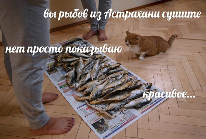 Когда приехали из Астрахани