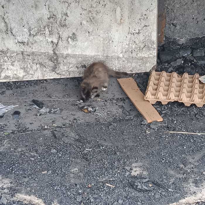  !         ,   , ,  , 