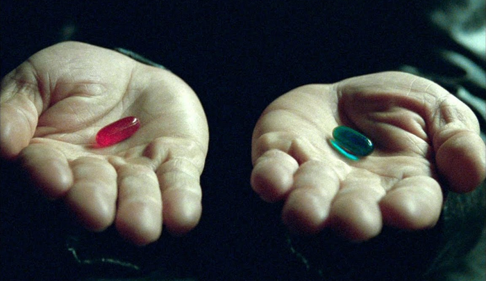 Бросить работу ради образования. Как бы вы поступили?