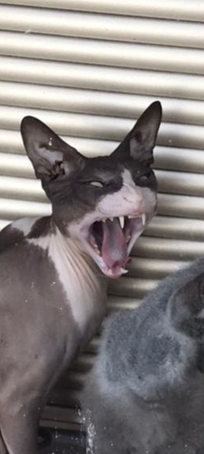     , , , , , ,  ,  