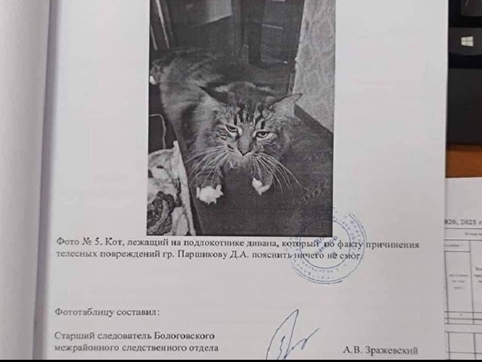 ��� ��������� �� ���������� ����