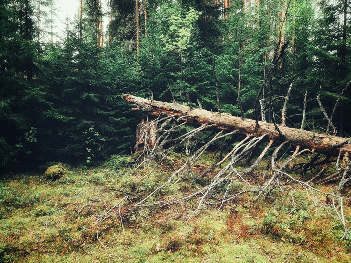 как думаешь что там. Смотреть фото как думаешь что там. Смотреть картинку как думаешь что там. Картинка про как думаешь что там. Фото как думаешь что там
