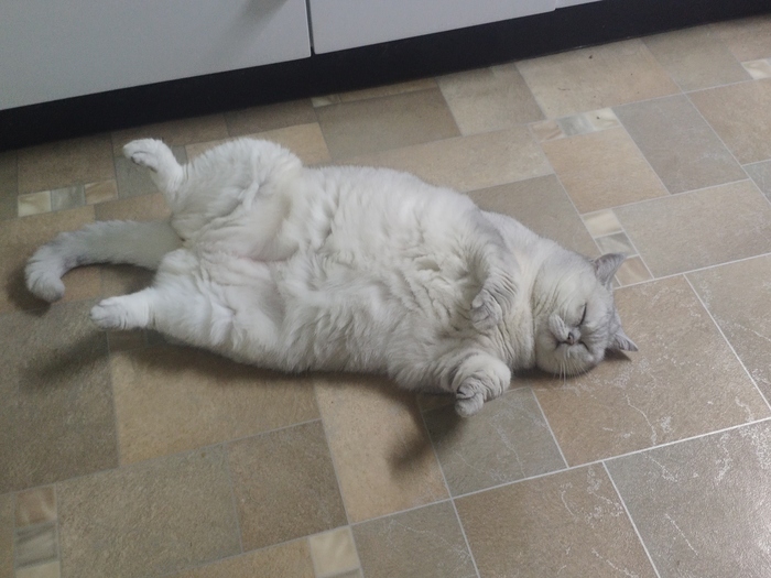 ���������? ���������!