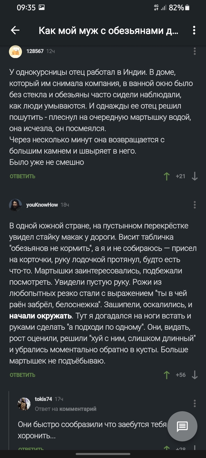 ������ ���� �����...