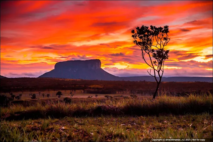 Чтобы увидеть самый высокий водопад в мире, нужно идти 10 часов на лодке среди джунглей Путешествия, Водопад, Венесуэла, Анхель, Яндекс Дзен, Длиннопост Чтобы увидеть самый высокий водопад в мире, нужно идти 10 часов на лодке среди джунглей Путешествия, Водопад, Венесуэла, Анхель, Яндекс Дзен, Длиннопост