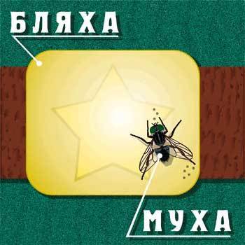 Муха и суета Работа, Обед, Суета, Смысл жизни