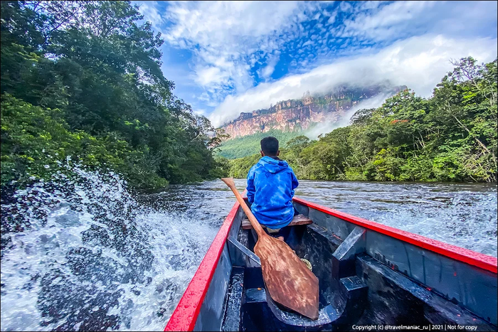 Чтобы увидеть самый высокий водопад в мире, нужно идти 10 часов на лодке среди джунглей Путешествия, Водопад, Венесуэла, Анхель, Яндекс Дзен, Длиннопост
