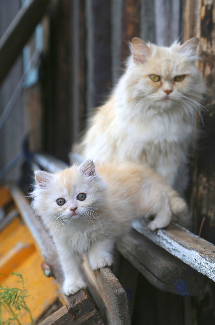 �������� ������